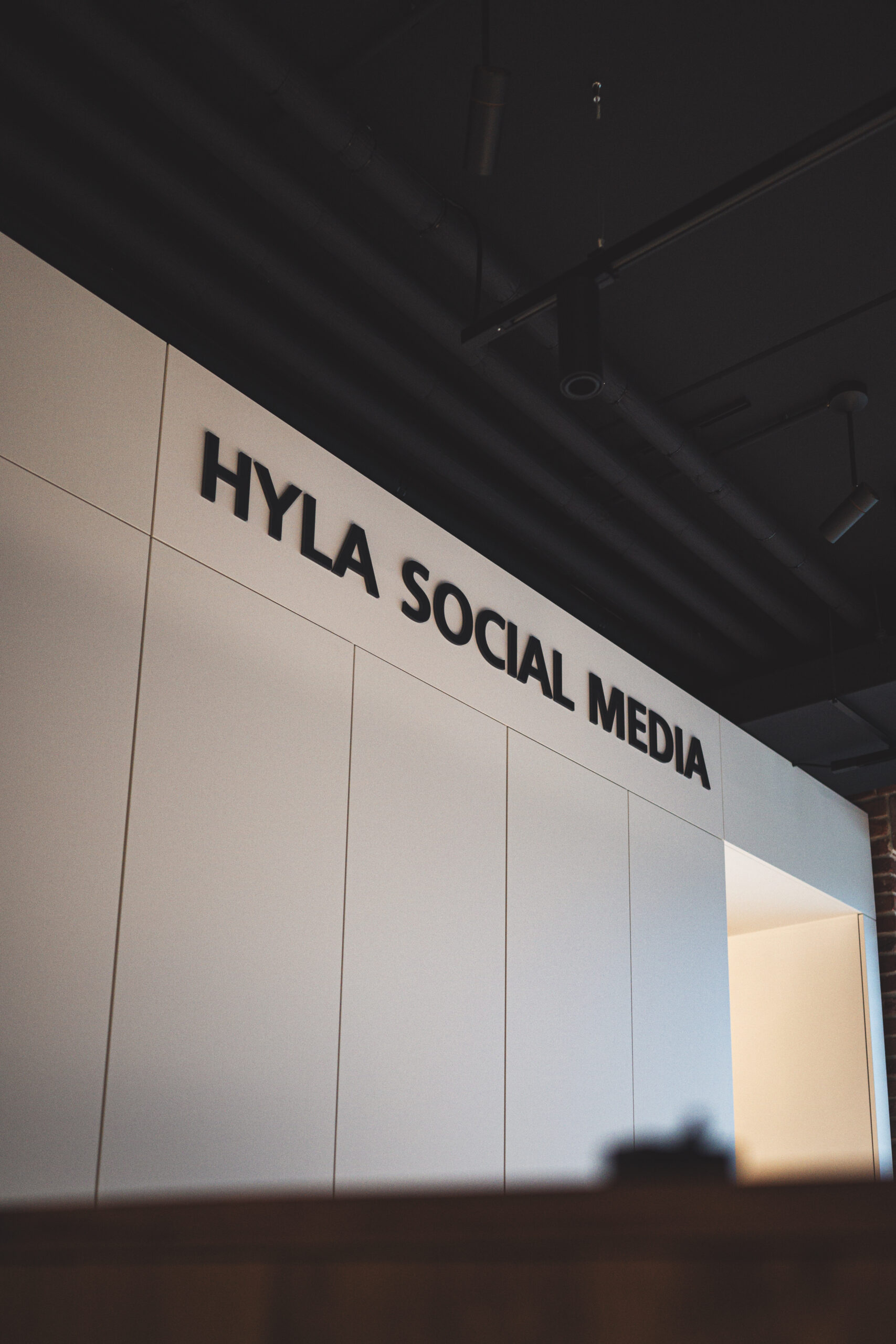 HYLA Karriere als Vertriebspartnerin